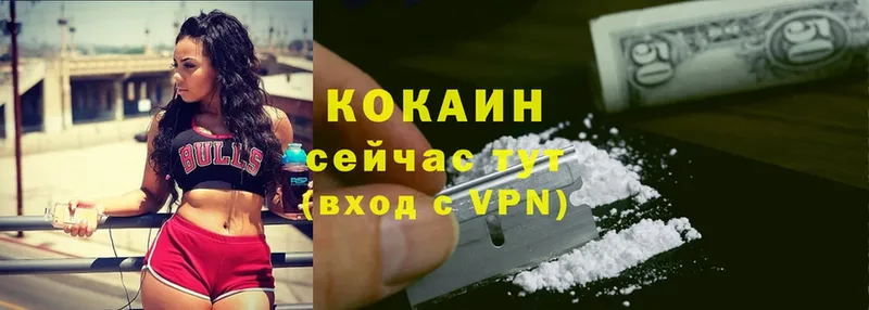 КОКАИН VHQ  Елизово 