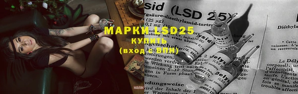 твердый Майский