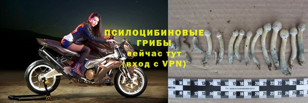 мескалин Гусь-Хрустальный