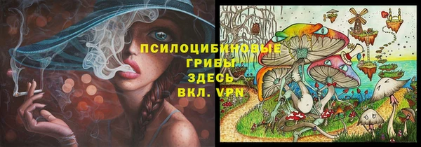 альфа пвп Гусев