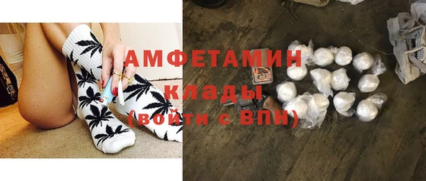 дмт Дмитров