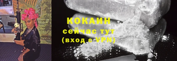 твердый Майский