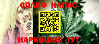 PSILOCYBIN Берёзовский