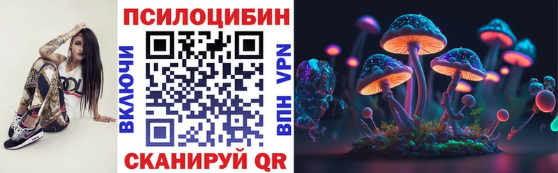Псилоцибиновые грибы Psilocybe  наркота  ссылка на мегу рабочий сайт  Елизово 