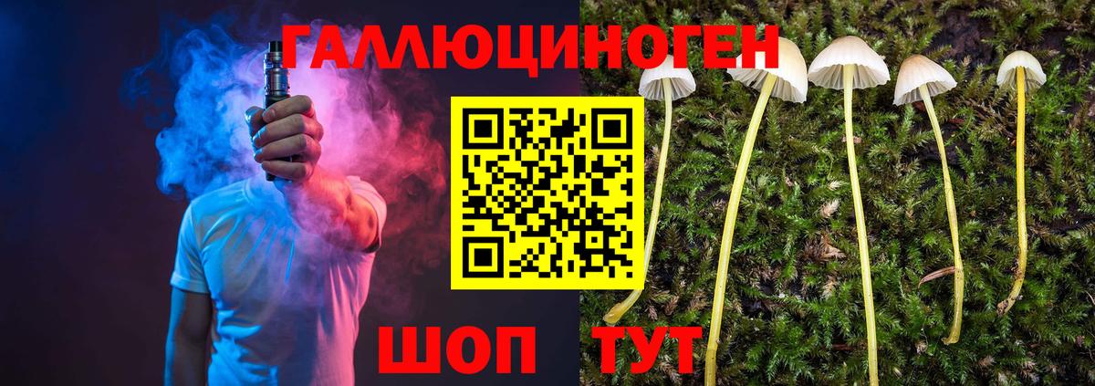 Галлюциногенные грибы ЛСД Елизово